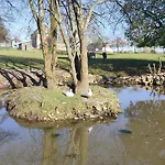 La Billardiere A La Ferme Kemping Le Menil-Ciboult