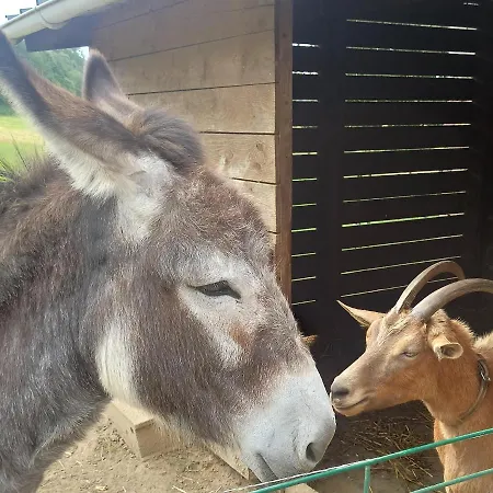 La Billardiere A La Ferme Le Menil-Ciboult