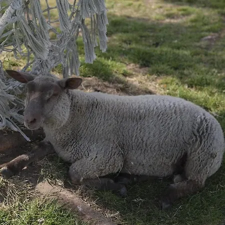 La Billardiere A La Ferme *