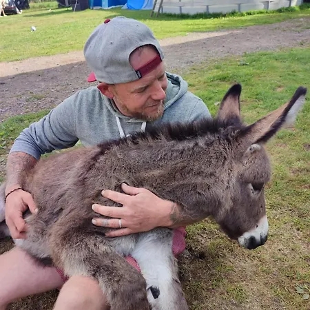 La Billardiere A La Ferme Le Menil-Ciboult