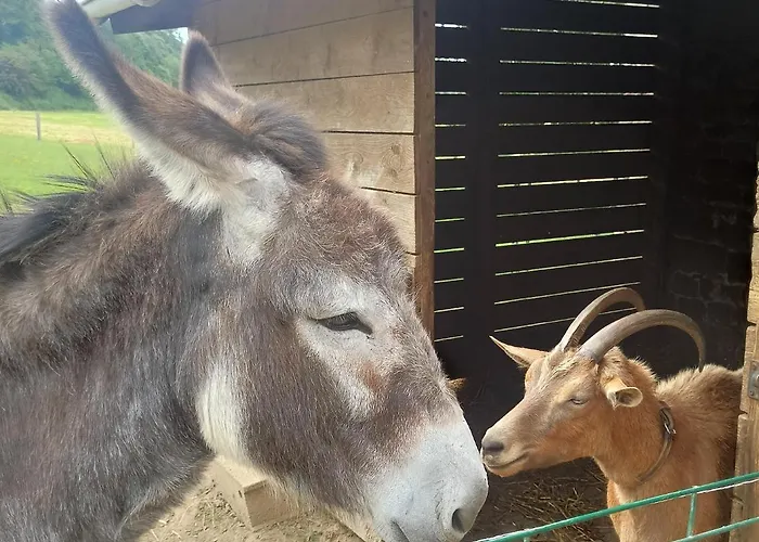 La Billardiere A La Ferme Le Menil-Ciboult