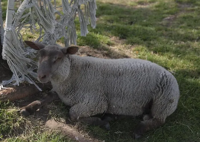 La Billardiere A La Ferme *