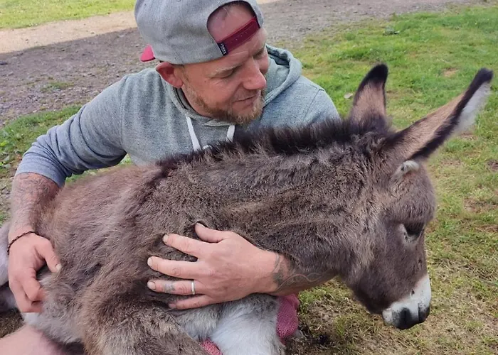La Billardiere A La Ferme Le Menil-Ciboult