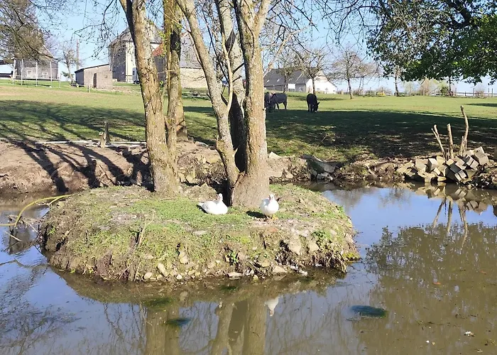 La Billardiere A La Ferme Kemping Le Menil-Ciboult