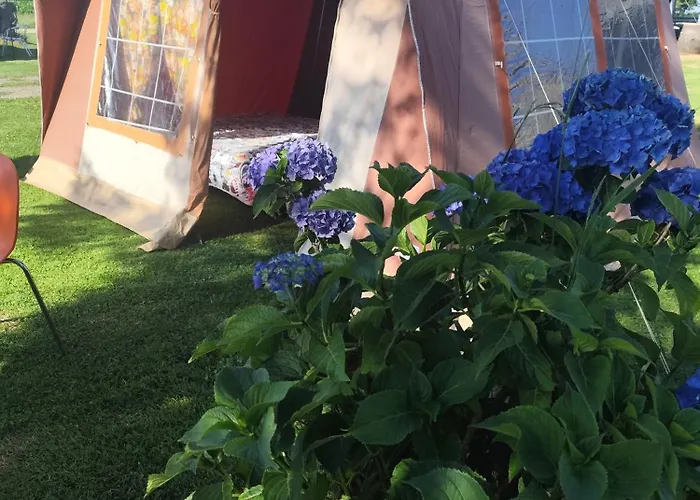 La Billardiere A La Ferme